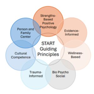 Denver START Guiding Principles 